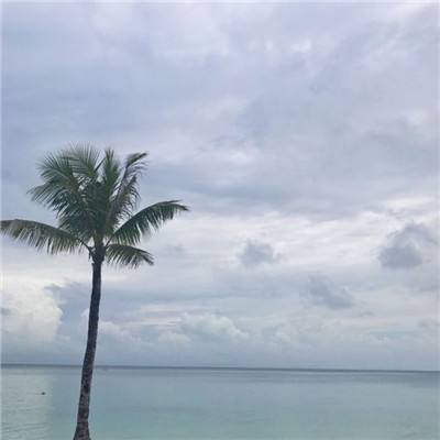 蜀山神话果盘版下载